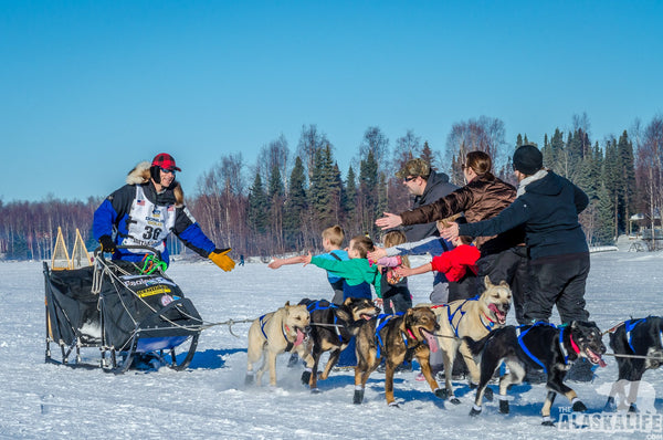 Martin Buser - Musher Profile - A Fan Favorite – The Alaska Life